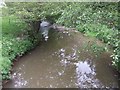 River Rea downstream at Duddlewick Bridge