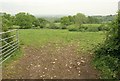 Field near Ham Farm