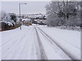 Snow on Bluebell drive