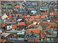 Whitby rooftops