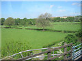 Fields towards Ellel from Langshaw lane bridge