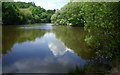 Pond on Stanmore Common