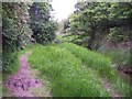 Footpath and ditch near Hythe Village Marina