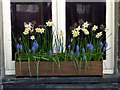 SH5738 : Floral Display, Porthmadog Station, Gwynedd by Christine Matthews
