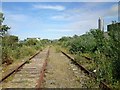 Anglesey Central Railway, Amlwch