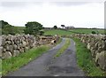 Farm access road at Carrigenagh