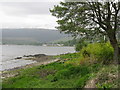 Lamlash Bay from Margnaheglish