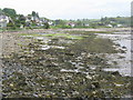 The shore at Whiting Bay