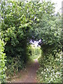 TM2956 : Little Lane Bridleway to Broad Road by Geographer