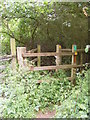 TM2856 : Kissing Gate on the footpath to Dallinghoo Road by Geographer