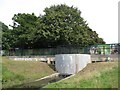 The Quaggy River flood defence scheme, Sutcliffe Park (3)