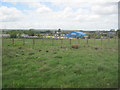 Fields at Larkhall from M74 northbound