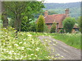 Cottage at Sheep Green