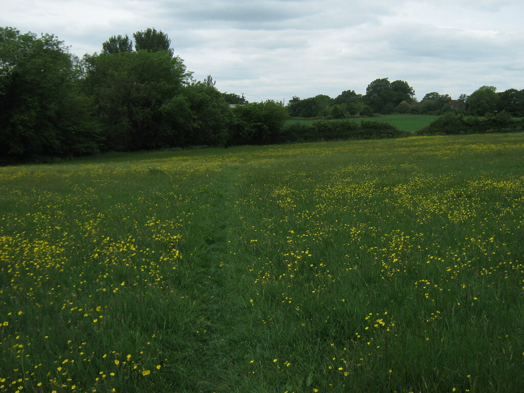 Buttercup path towards Swattenden Centre © David Anstiss :: Geograph ...