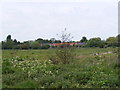 Houses in Spring Lane