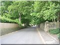 Chapel Lane - viewed from Maple Drive