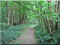 Footpath beside Furnace Mill Stream