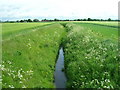 Drainage ditch off Flaxley Road