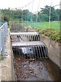 TQ4174 : The Quaggy River north of Eltham Palace Road, SE9 (4) by Mike Quinn