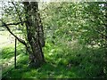 Footpath near Hill of St Fink