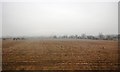 Farmland, Sowerby Parks