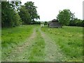 Disused barn at the rear of Burchetts