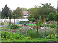 Eltham Palace Allotments (2)