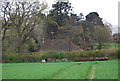 Cottage on the edge of Rolvenden Layne