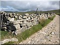 SX5673 : Wall, Foggintor by Derek Harper