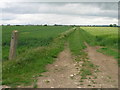 Farm track off Moor Lane