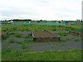 Allotments, Church Fenton