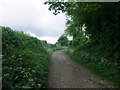 Entering Sussex on the south downs Way