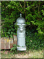 SK9760 : Water hydrant by Richard Croft