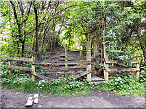 SD7804 : Fat Hurst Wood, The Outwood Trail by David Dixon