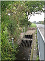 The Quaggy River by Mottingham Lane, SE12 (2)