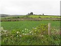 Crannogue Townland