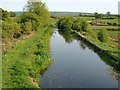 The Montgomery Canal, Wern.