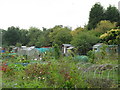 Exford Road Allotments