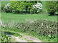 Public footpath at Rackham, West Sussex