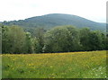 Field, woods and a distant hillside, Tranch, Pontypool