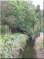 The Quaggy River south of Marvels Lane, SE12