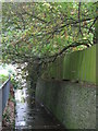 The Quaggy River between Marvels Lane and Chinbrook Road, SE12 (2)