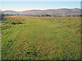 Castlemorton Common