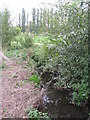 The Quaggy River, Chinbrook Meadows