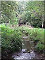 The Quaggy River aka The Chin Brook, Chinbrook Meadows (7)