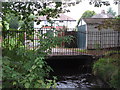 The Quaggy River aka The Chin Brook, Chinbrook Meadows (9)