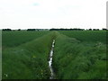 Drainage ditch off Bellcroft Lane