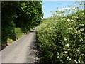 Old Badgins Road, near Sheldwich