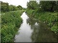 ST3960 : The River Banwell looking upstream beside Riverside Road by Dr Duncan Pepper