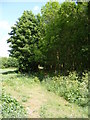 TM3761 : Bridleway to the A12 Benhall Bypass by Geographer
